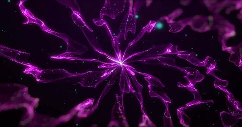 Dynamic Purple Light Flowing Across Black Background - Download Free Stock Images Pikwizard.com