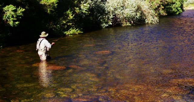 Man enjoying fly fishing in clean river surrounded by lush greenery. Ideal for use in content about fishing, outdoor activities, nature exploration, and recreational sports. Could enhance articles on leisure, travel destinations, or hobbies.