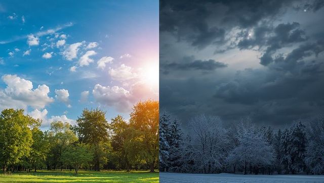 Split-season landscape showing sunlit summer park against snowy winter forest