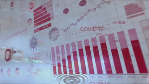 Dynamic COVID-19 Statistical Data with Interactive Visuals