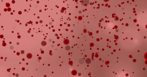Abstract Visualization of Blood Cells on Pink Background - Download Free Stock Images Pikwizard.com