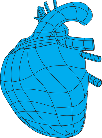 Transparent Blue Heart Structure for Medical Illustrations - Download Free Stock Videos Pikwizard.com