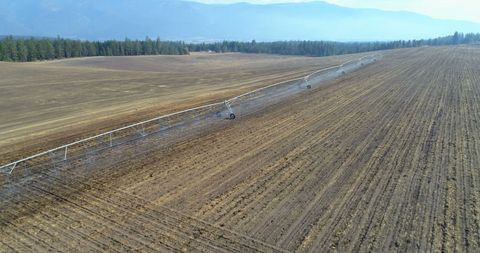 Pivot irrigation system in expansive agricultural landscape
