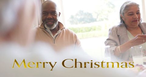 Diverse Seniors Celebrating Christmas Dinner at Home