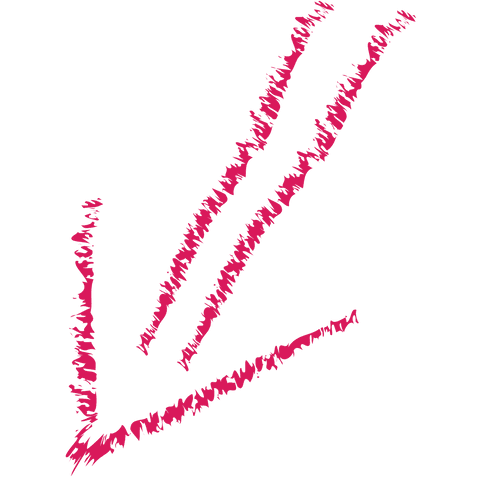 hand-drawn purple arrow symbol on transparent background - Download Free Stock Videos Pikwizard.com