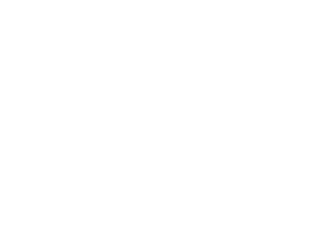 Transparent Silhouette of Male Archer Holding Bow and Arrow - Download Free Stock Videos Pikwizard.com