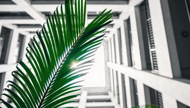 Stretching palm frond casting sunburst light through modern concrete atrium and balconies