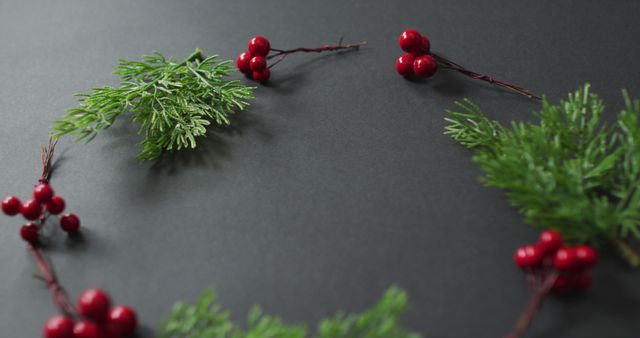 Image of christmas decoration sprigs with red berries and copy space on black background. christmas, tradition and celebration concept.