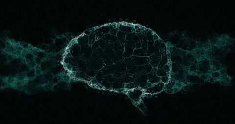 Digital brain visualization with neuronal waves