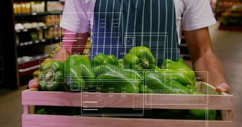 Store clerk handling fresh green bell peppers at produce aisle