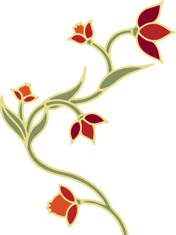 abstract botanical vine with red blossoms transparent background - Download Free Stock Videos Pikwizard.com