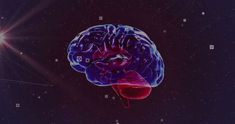 Digital Brain with Network of Connections and Light Trails - Download Free Stock Images Pikwizard.com