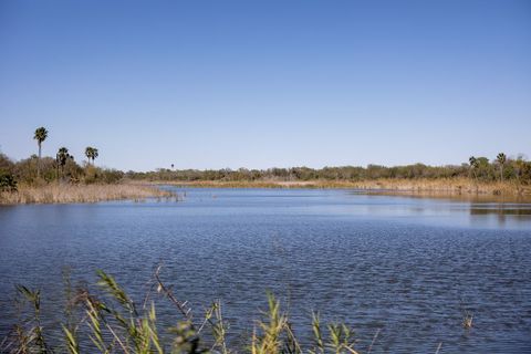 Scenic View of Tranquil Lake with Grassy Reeds and Blue Sky
