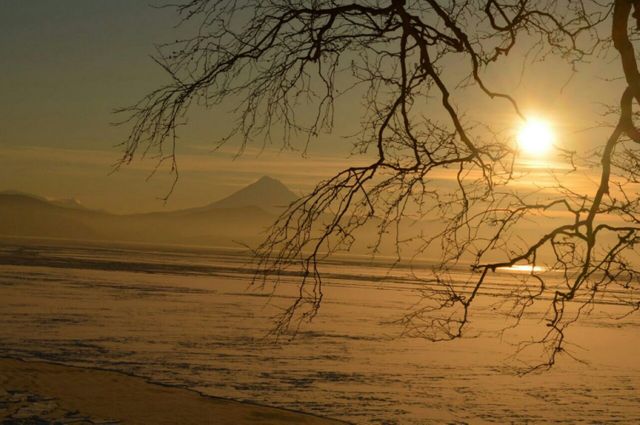 Winter Sunset Scene with Mountains and Bare Tree Branches - Download Free Stock Photos Pikwizard.com