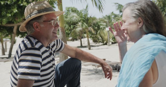 Smiling Senior Friends Conversing on Tropical Beach Vacation - Download Free Stock Images Pikwizard.com