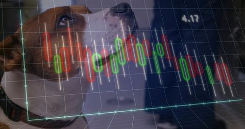 Dog Observing Financial Chart Overlay with Trading Candlesticks