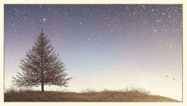 Lone Conifer on Grassy Ridge under Golden Starry Twilight with Ornate Frame