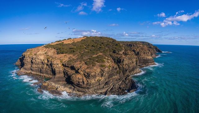 Showing stratified sea cliffs on rugged headland with coastal vegetation and breaking surf