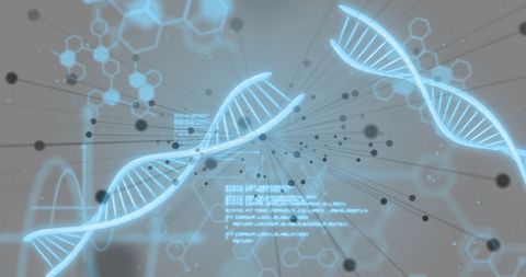 Digital Data Overlay on Spinning DNA Strands - Download Free Stock Images Pikwizard.com