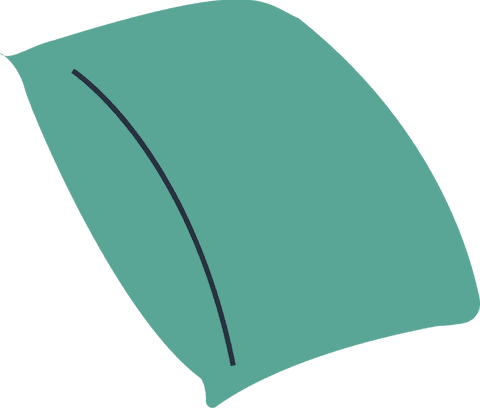 Stylized botanical leaf drawing on transparent background