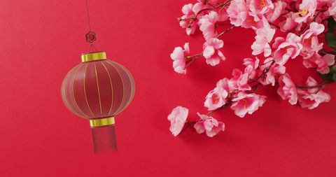 Traditional Lantern and Cherry Blossoms on Red Background - Download Free Stock Images Pikwizard.com