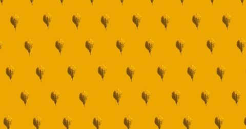 Pattern of Orange Autumn Leaves on Vibrant Background