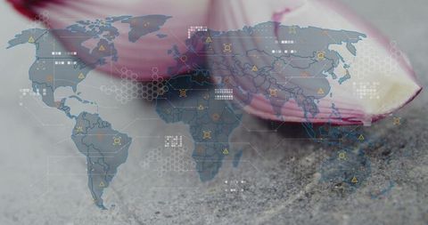 Resting pink petal on coarse sand with world map data overlay and hex grid