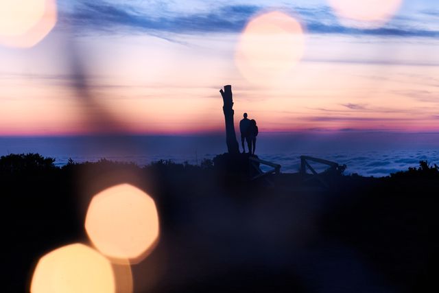 Couple Watching Romantic Sunset with Bokeh Effect - Download Free Stock Images Pikwizard.com