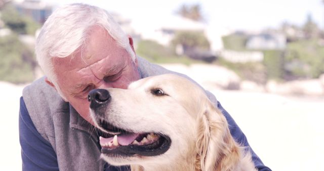 Senior man warmly hugging a golden retriever on a sunny beach. Ideal for use in promoting pet care, veterinary services, elderly lifestyle, retirement concepts, and bonding between humans and animals.