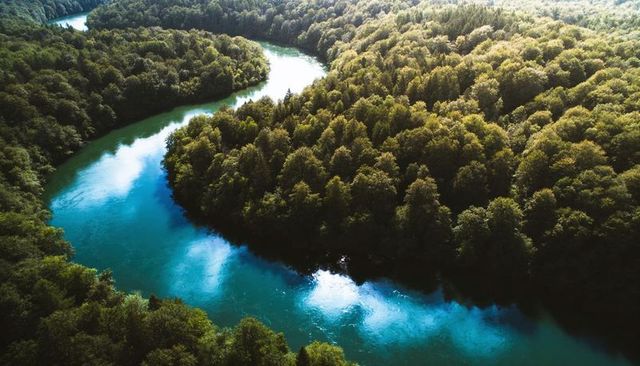 Aerial view of winding turquoise river meandering through lush sunlit forest canopy