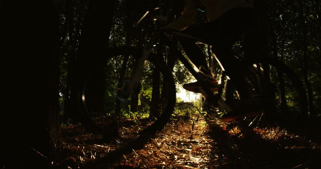 A cyclist rides through a forested area at dusk, with the setting sun creating a silhouette effect. This image captures the essence of adventure and the beauty of nature during a tranquil bike ride.