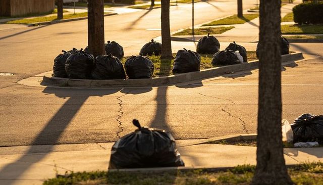 Black garbage bags lining suburban curb and median at golden hour casting long shadows