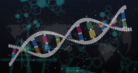 Digital DNA Helix with Global Data Connectivity
