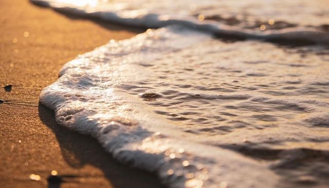 Sunset foam lapping wet sand, closeup tidal shore with golden reflections