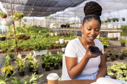 African american woman recording voice memo in greenhouse plant nursery with notebook