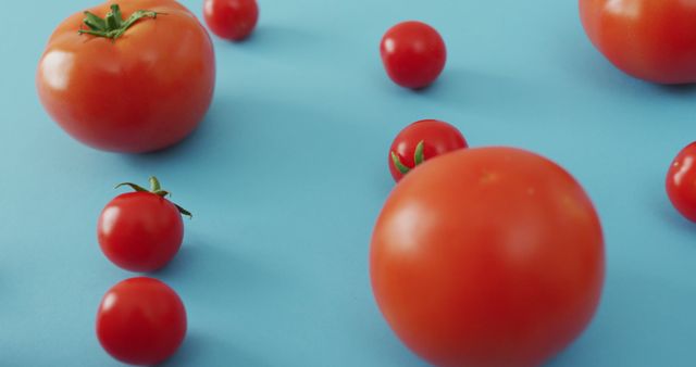 Image of fresh tomatoes and cherry tomatoes on blue background - Download Free Stock Photos Pikwizard.com