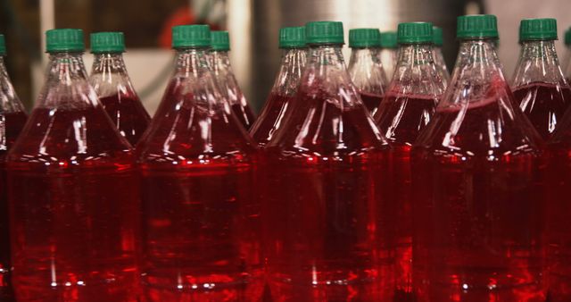 Rows of Bottled Red Liquid with Green Caps in Factory - Download Free Stock Images Pikwizard.com