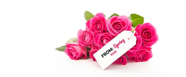 Ideal for greeting cards, spring season promotions, floral arrangements, or seasonal celebration advertisements. The bright pink roses coupled with the cheerful greeting tag symbolize the vibrancy and renewal associated with spring.