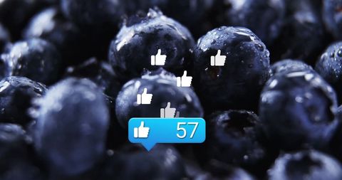 Fresh Blueberries with Social Media Engagement Icons - Download Free Stock Images Pikwizard.com