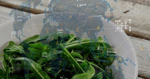 Fresh arugula bowl with global data overlay showing agtech food supply chain and analytics