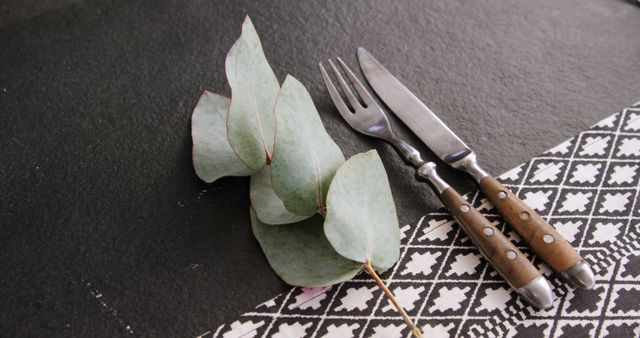 Vintage Cutlery with Wooden Handles and Eucalyptus Leaves on Rustic Table - Download Free Stock Images Pikwizard.com