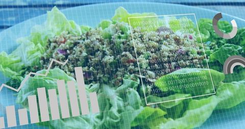 Healthy Lettuce and Grain Salad with Digital Innovation Elements