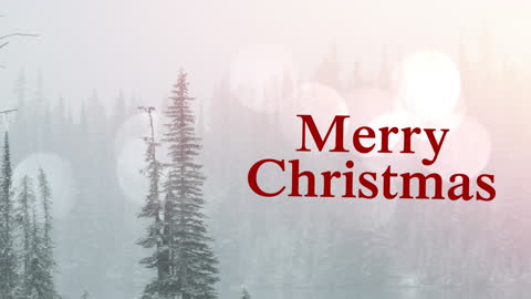 Merry Christmas Greeting with Winter Forest Background