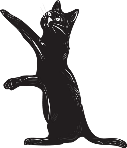 stylized black cat standing upright with whimsical white accents - Download Free Stock Videos Pikwizard.com