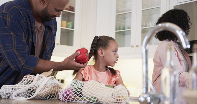 Family unpacking groceries in modern kitchen - Download Free Stock Images Pikwizard.com