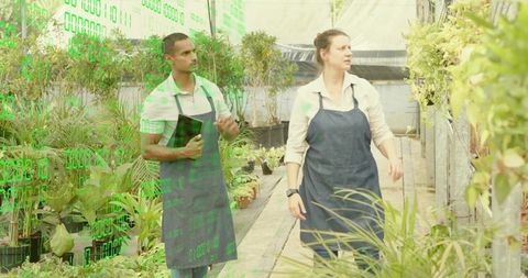 Gardeners walking and inspecting climbing vines in greenhouse with tablet for plant care