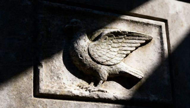 Weathered stone dove relief receiving diagonal sunlight on recessed masonry panel