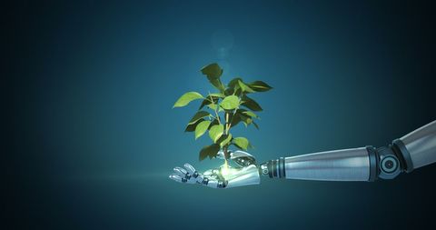 Robotic Hand Holding Growing Green Plant on Cyan Background - Download Free Stock Images Pikwizard.com