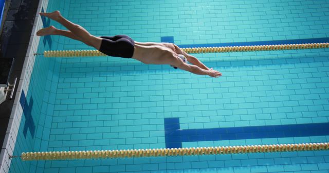 Male Swimmer Diving into Olympic Size Pool - Download Free Stock Images Pikwizard.com