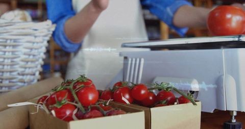 Fresh vine tomatoes in cardboard trays on market scale with vendor weighing produce